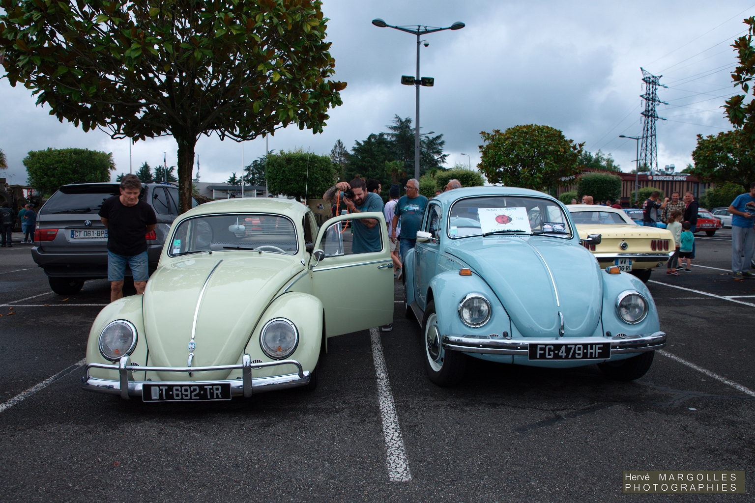 VW Cox-01.jpg